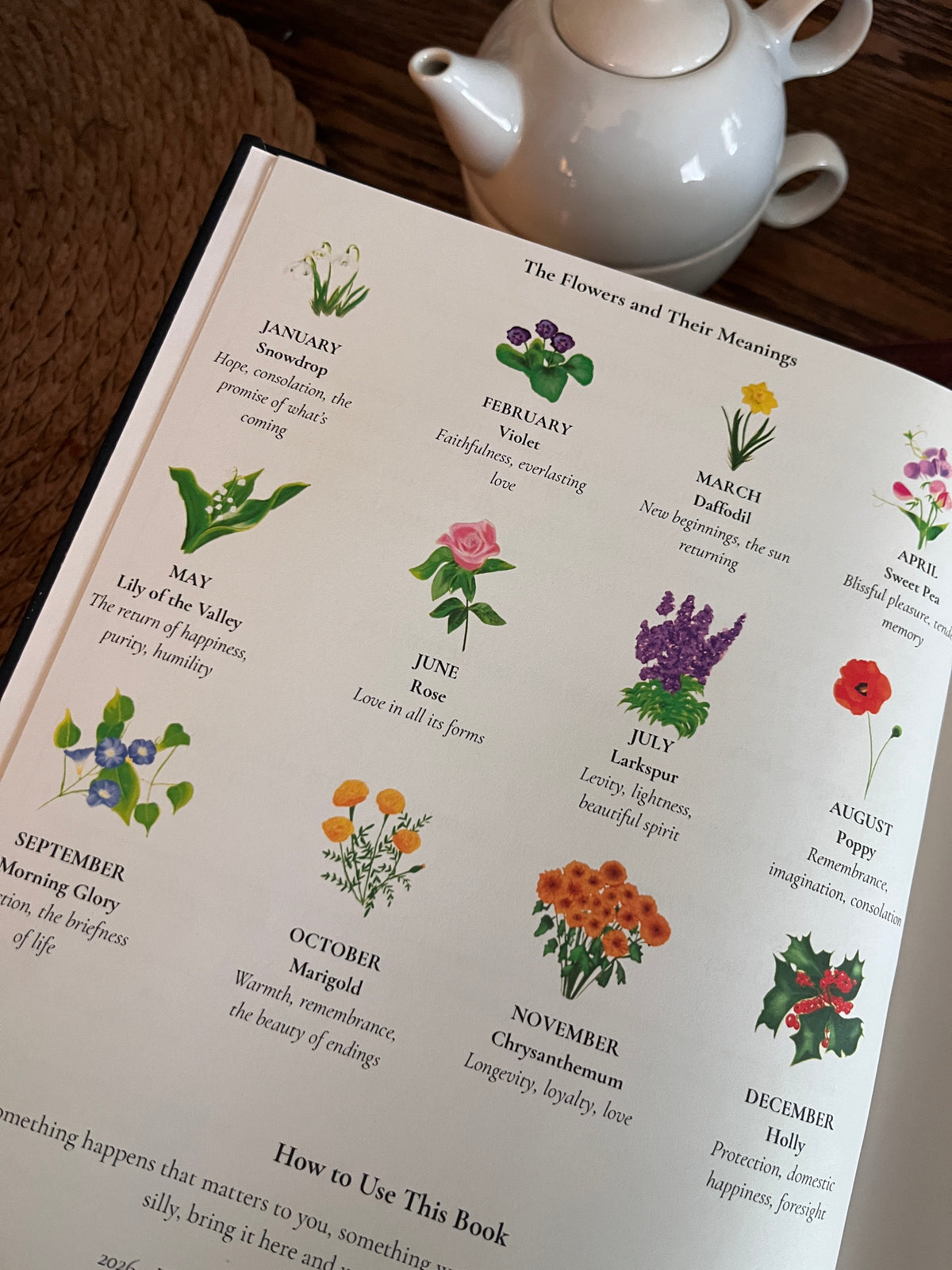 Hand-drawn botanical illustration inside the Keeping Book by Garden Archive Press founder Laura Branch